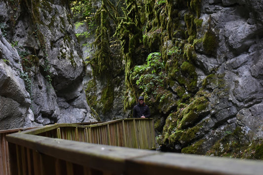 Best Spark Plugs for Toyota RAV4: The World's Best-Selling SUV