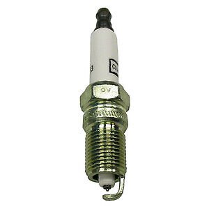 Champion 7983 Double Platinum Spark Plugs for RS14PMPB5 - 1 Pack